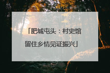 肥城屯头：村史馆留住乡情见证振兴