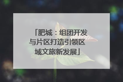 肥城：组团开发与片区打造引领区域文旅新发展