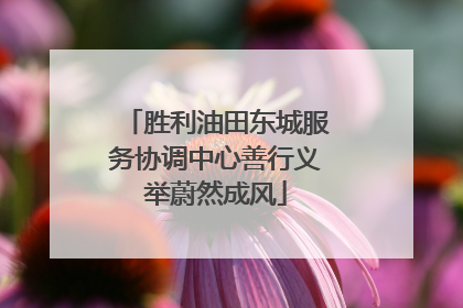 胜利油田东城服务协调中心善行义举蔚然成风