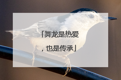 舞龙是热爱，也是传承