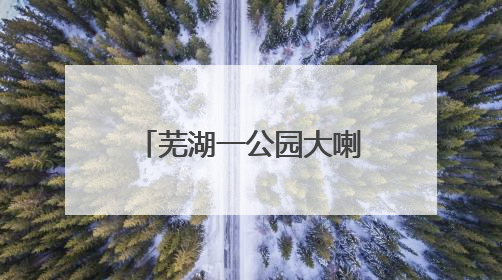 芜湖一公园大喇叭辱骂遛狗市民？真相来了……