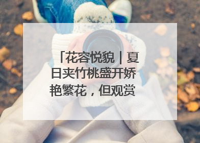 花容悦貌｜夏日夹竹桃盛开娇艳繁花，但观赏时“碰不得”