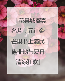 花果城擦亮名片：元江金芒果节上演民族非遗与夏日清凉狂欢