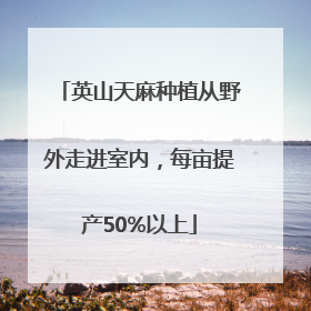 英山天麻种植从野外走进室内，每亩提产50%以上