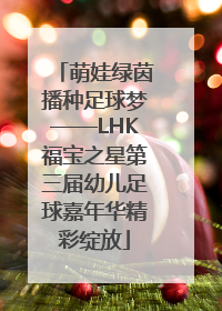萌娃绿茵播种足球梦——LHK福宝之星第三届幼儿足球嘉年华精彩绽放