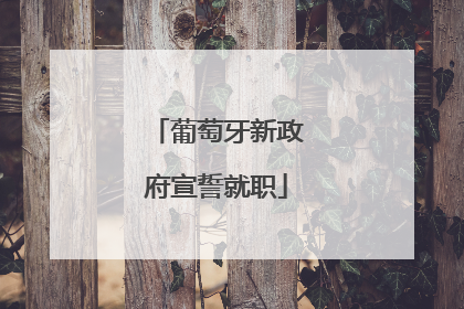 葡萄牙新政府宣誓就职