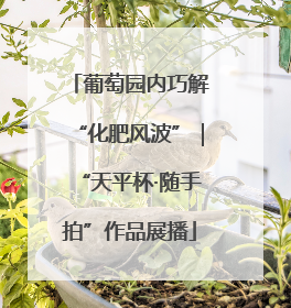 葡萄园内巧解“化肥风波”｜“天平杯·随手拍”作品展播