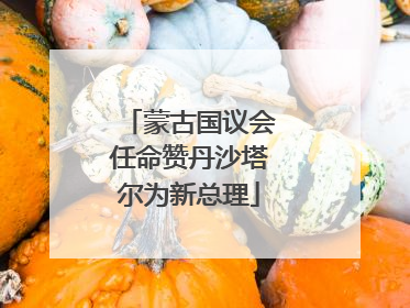 蒙古国议会任命赞丹沙塔尔为新总理