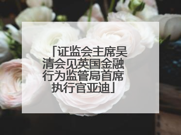 证监会主席吴清会见英国金融行为监管局首席执行官亚迪