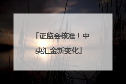证监会核准！中央汇金新变化