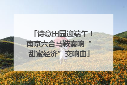 诗意田园迎端午！南京六合马鞍奏响“甜蜜经济”交响曲