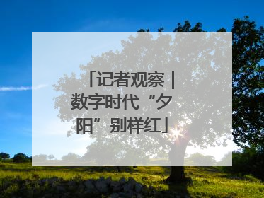 记者观察｜数字时代“夕阳”别样红