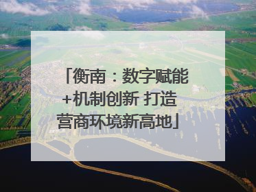 衡南：数字赋能+机制创新 打造营商环境新高地