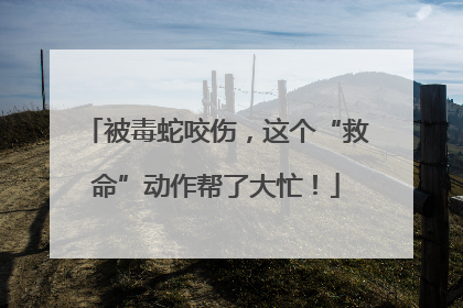 被毒蛇咬伤，这个“救命”动作帮了大忙！