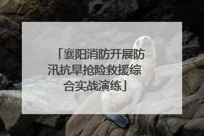 襄阳消防开展防汛抗旱抢险救援综合实战演练