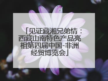 见证藏湘兄弟情：西藏山南特色产品亮相第四届中国-非洲经贸博览会