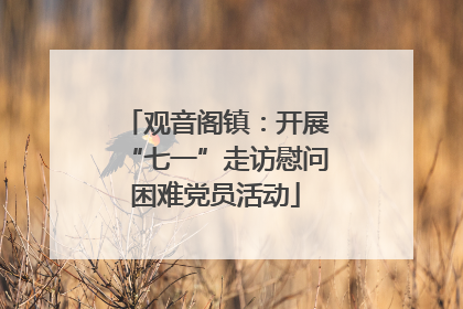 观音阁镇：开展“七一”走访慰问困难党员活动