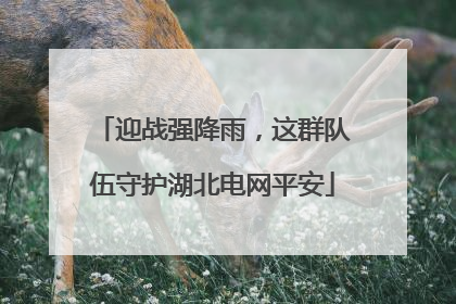 迎战强降雨，这群队伍守护湖北电网平安