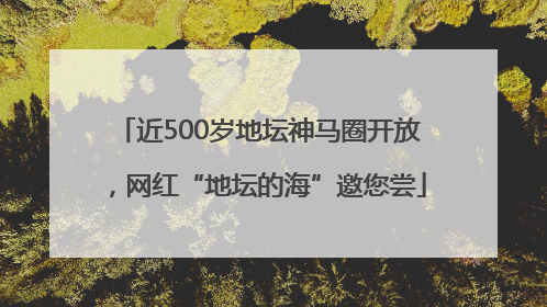近500岁地坛神马圈开放，网红“地坛的海”邀您尝