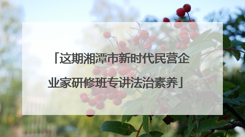这期湘潭市新时代民营企业家研修班专讲法治素养