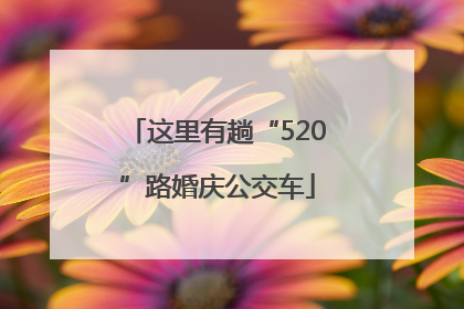 这里有趟“520”路婚庆公交车