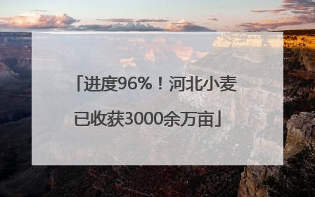 进度96%！河北小麦已收获3000余万亩