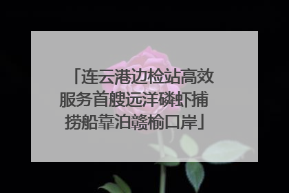 连云港边检站高效服务首艘远洋磷虾捕捞船靠泊赣榆口岸