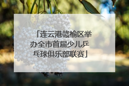 连云港赣榆区举办全市首届少儿乒乓球俱乐部联赛