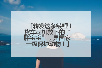 转发这条鲮鲤！货车司机救下的“胖宝宝”，是国家一级保护动物！