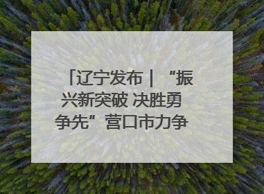 辽宁发布｜“振兴新突破 决胜勇争先”营口市力争上半年GDP增长6%左右