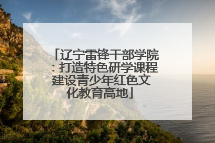 辽宁雷锋干部学院：打造特色研学课程 建设青少年红色文化教育高地