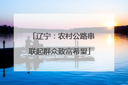 辽宁：农村公路串联起群众致富希望