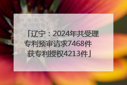 辽宁：2024年共受理专利预审请求7468件 获专利授权4213件