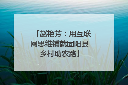 赵艳芳：用互联网思维铺就固阳县乡村助农路