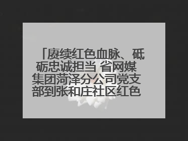 赓续红色血脉、砥砺忠诚担当 省网媒集团菏泽分公司党支部到张和庄社区红色基因传承馆开展主题党日活动