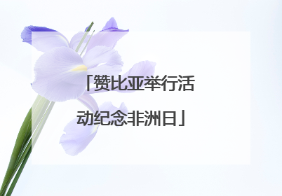 赞比亚举行活动纪念非洲日
