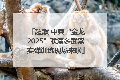 超燃 中柬“金龙-2025”联演多武器实弹训练现场来啦