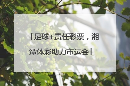足球+责任彩票，湘潭体彩助力市运会
