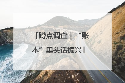 蹲点调查｜“账本”里头话振兴
