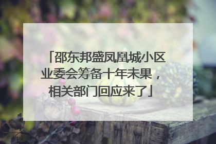 邵东邦盛凤凰城小区业委会筹备十年未果，相关部门回应来了