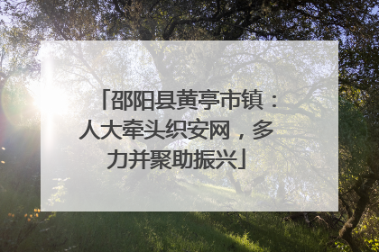 邵阳县黄亭市镇：人大牵头织安网，多力并聚助振兴