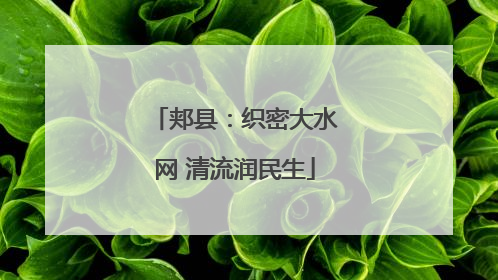 郏县：织密大水网 清流润民生
