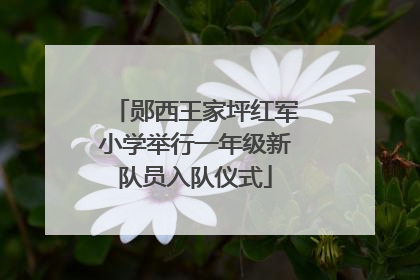 郧西王家坪红军小学举行一年级新队员入队仪式
