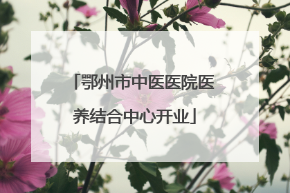 鄂州市中医医院医养结合中心开业