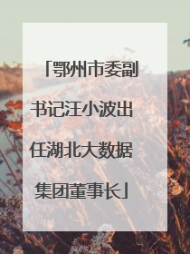 鄂州市委副书记汪小波出任湖北大数据集团董事长