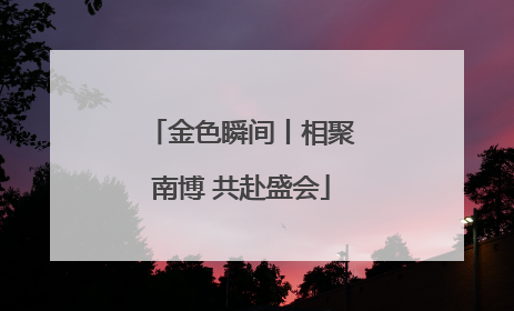 金色瞬间丨相聚南博 共赴盛会