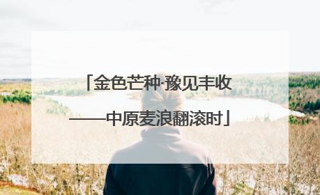 金色芒种·豫见丰收——中原麦浪翻滚时