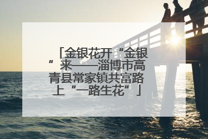 金银花开“金银”来——淄博市高青县常家镇共富路上“一路生花”