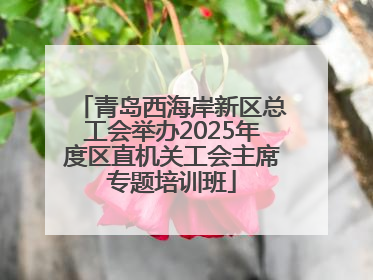 青岛西海岸新区总工会举办2025年度区直机关工会主席专题培训班