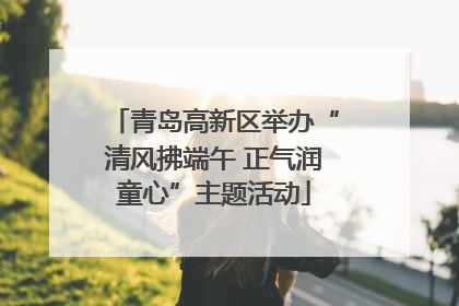青岛高新区举办“清风拂端午 正气润童心”主题活动